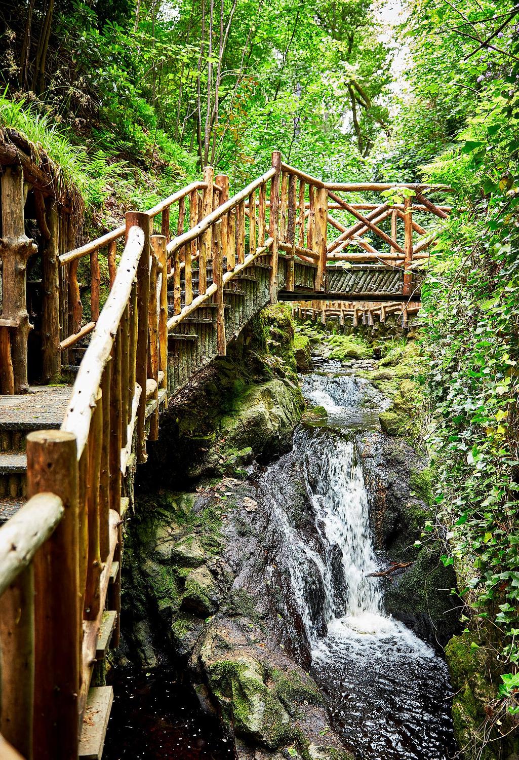 The Glen Grant Distillery gallery image