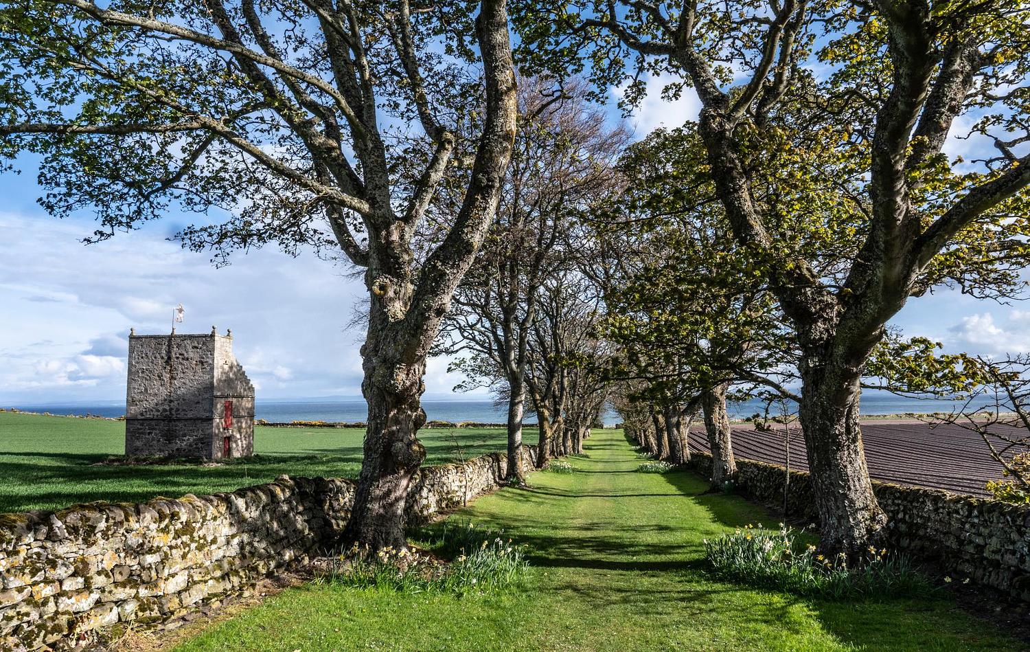 Glenmorangie House gallery image