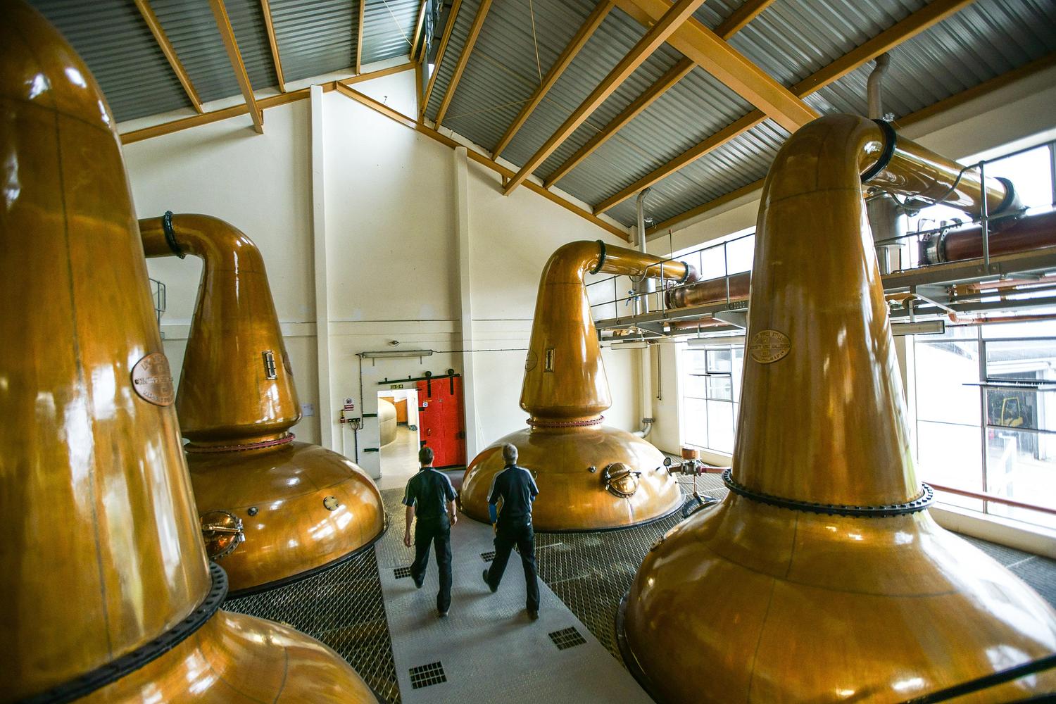 GlenAllachie Distillery gallery image