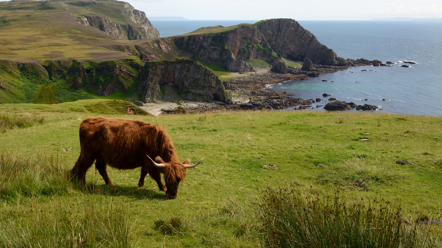 OOD House gallery image