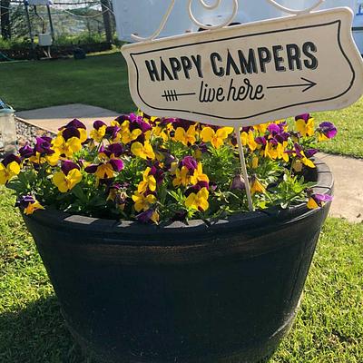 Camping at Golspie - Sleep