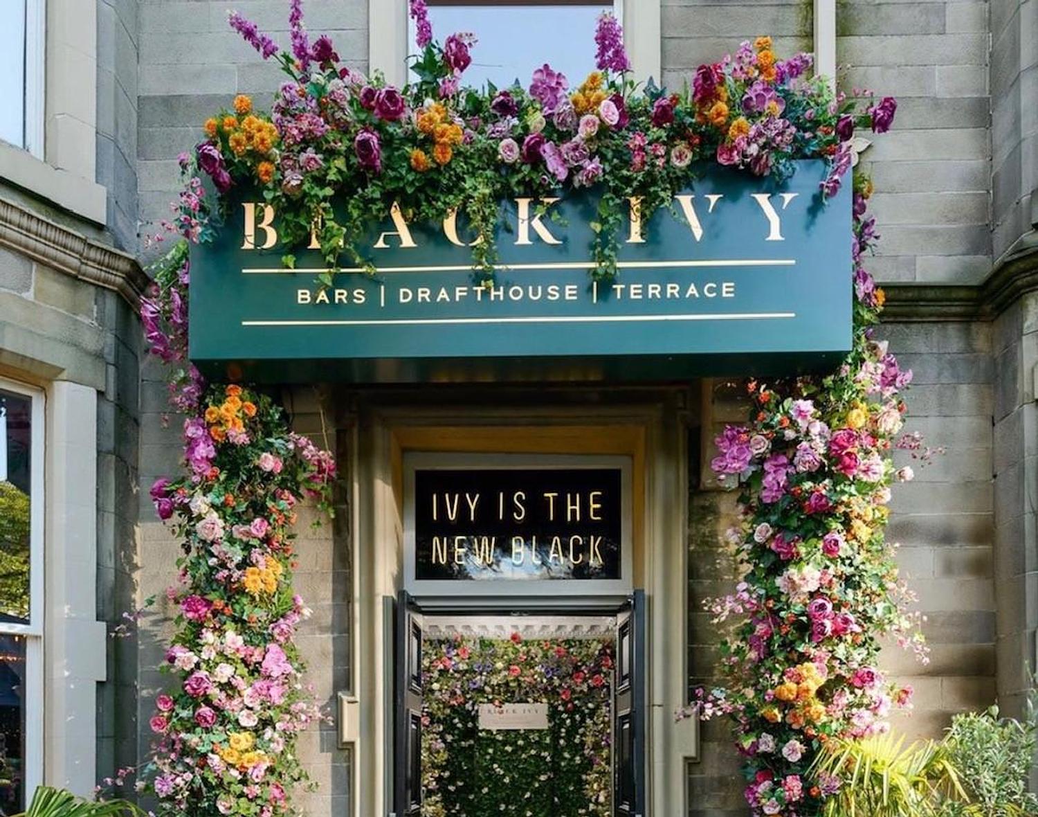 Black Ivy gallery image