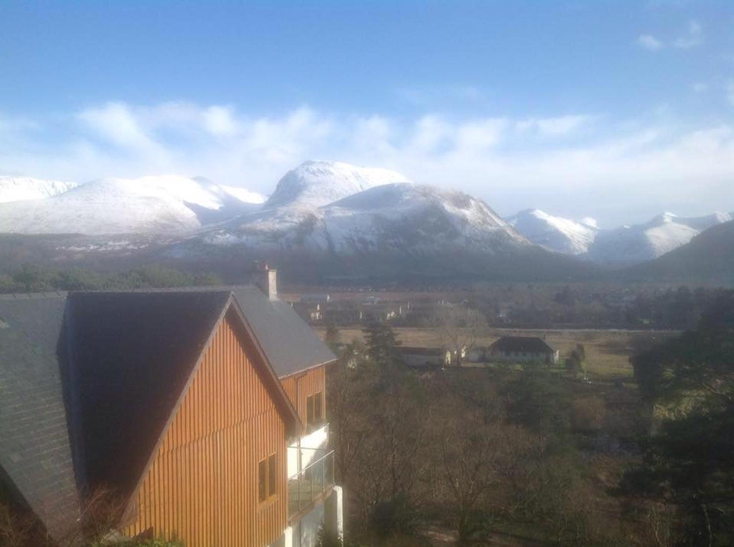 TreeTops Bed & Breakfast gallery image