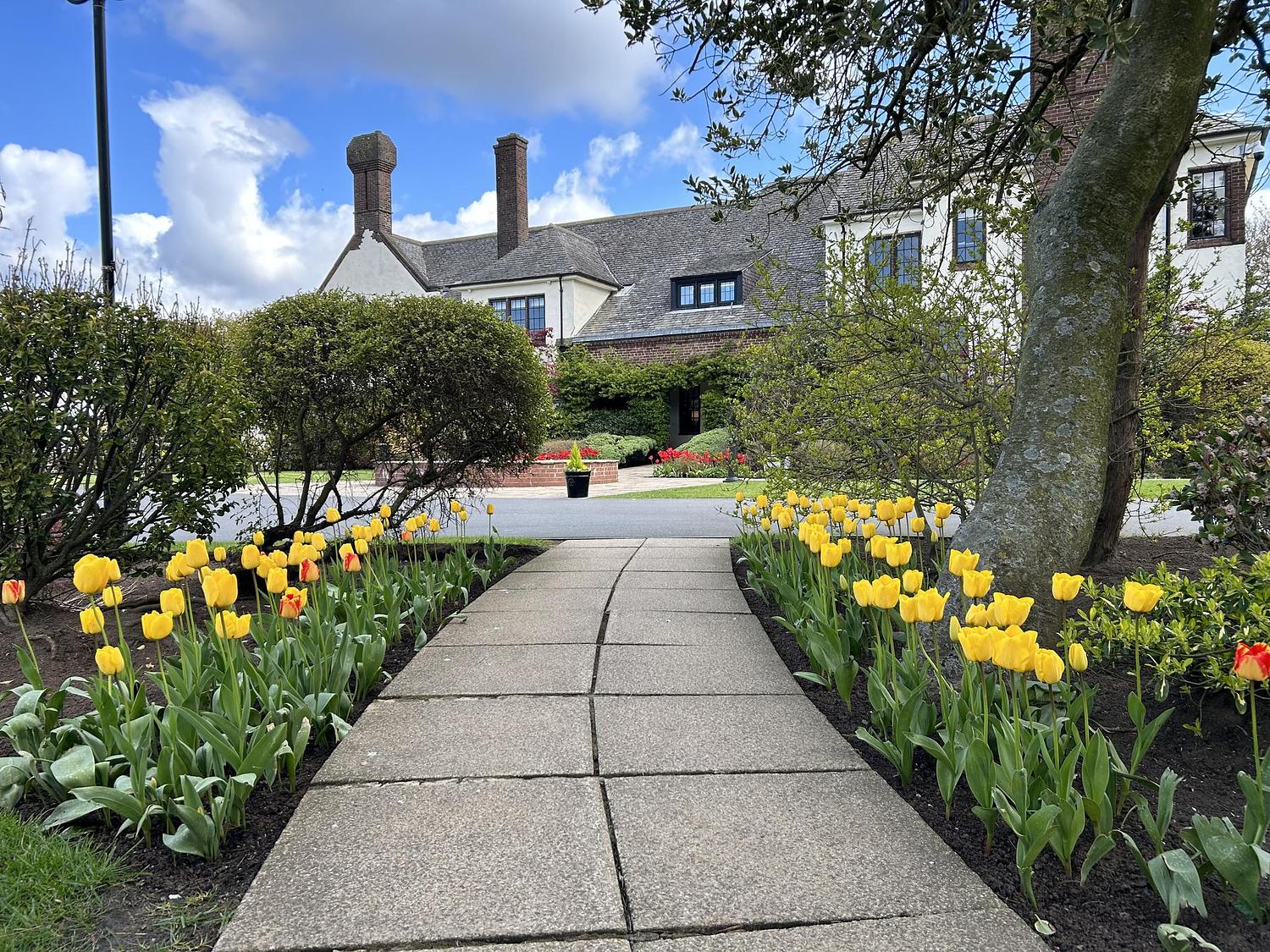 Western House Hotel  gallery image