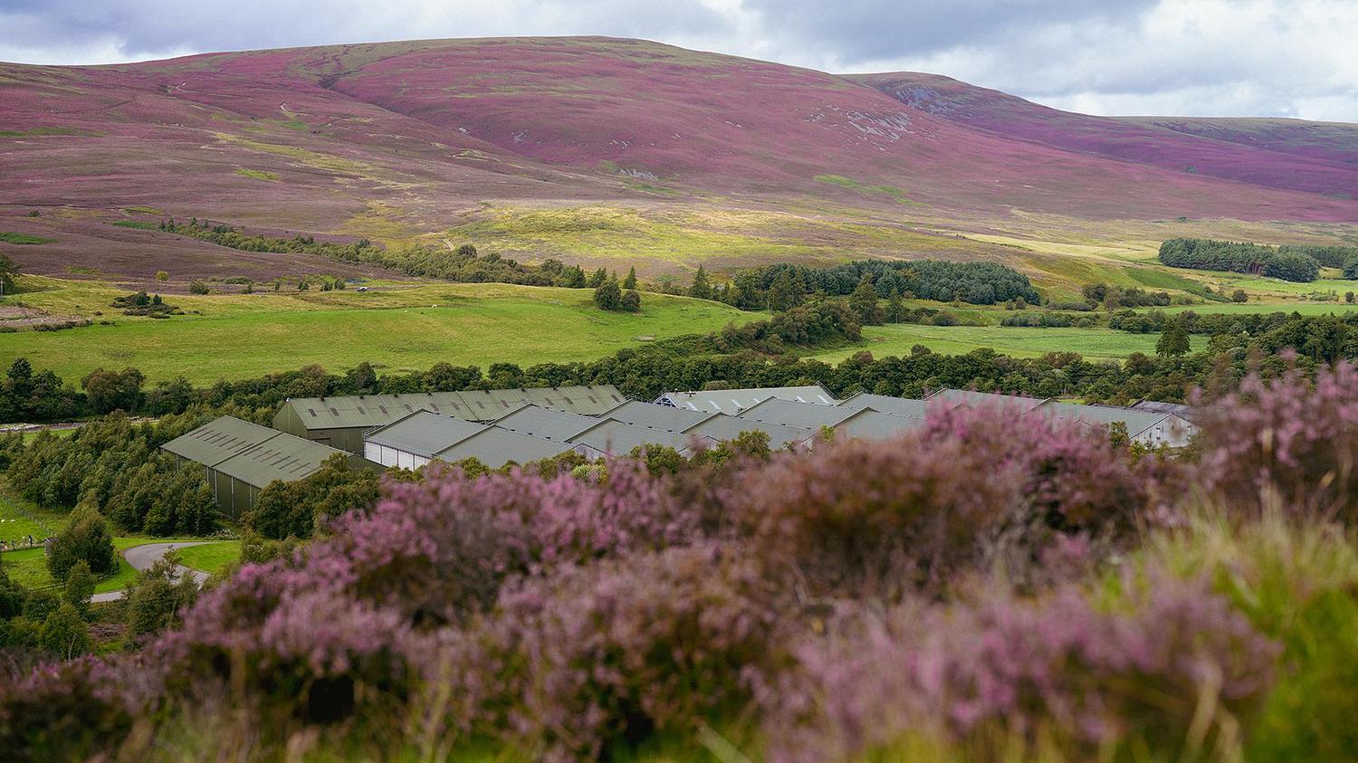 Tomintoul Distillery gallery image