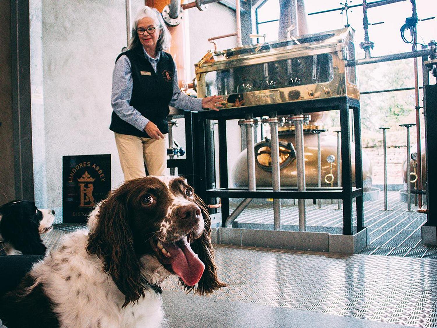 Lindores Abbey Distillery gallery image