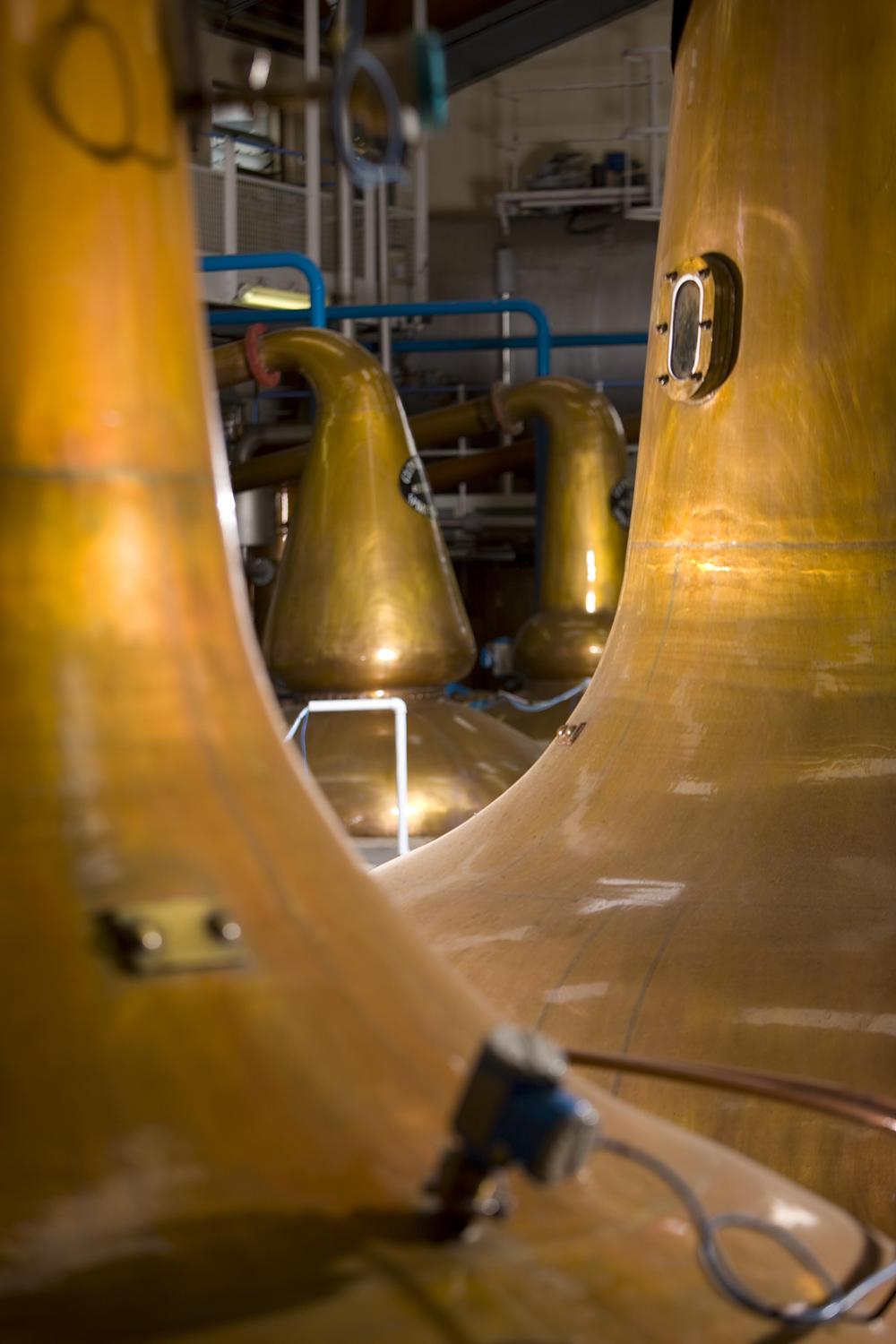 Glenfiddich Distillery gallery image